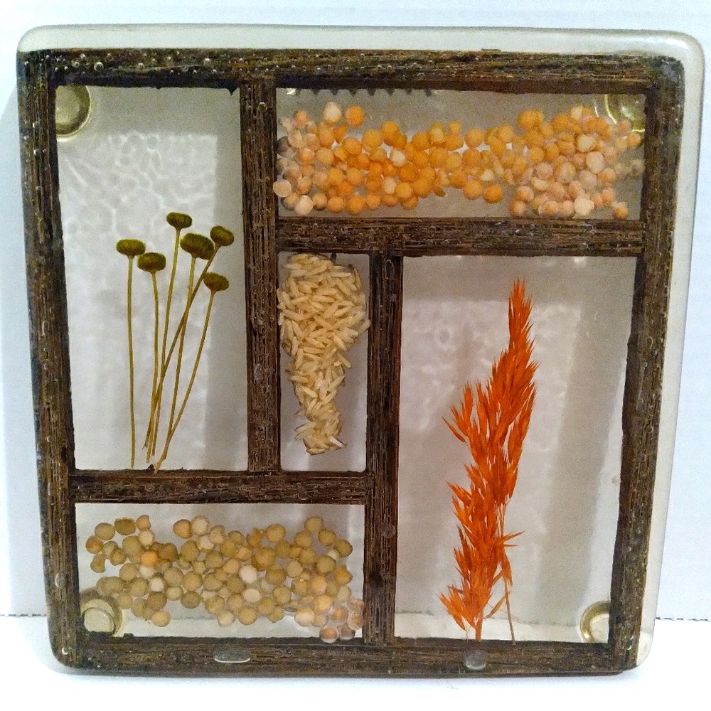 VTG Lucite Acrylic Trivet Hot Plate Pot Holder